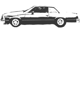 https://s3.us-west-1.wasabisys.com/ecart-content/cargeektees.com/overlays/504/211/5042114.png img