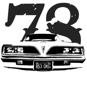 https://s3.us-west-1.wasabisys.com/ecart-content/cargeektees.com/overlays/506/172/5061724.png img