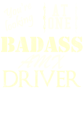 https://s3.us-west-1.wasabisys.com/ecart-content/cargeektees.com/overlays/527/256/5272566.png img