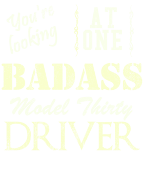 https://s3.us-west-1.wasabisys.com/ecart-content/cargeektees.com/overlays/527/311/5273112.png img