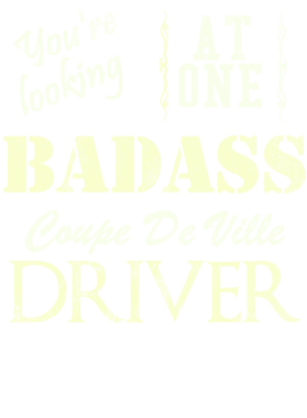 https://s3.us-west-1.wasabisys.com/ecart-content/cargeektees.com/overlays/527/403/5274034.png img