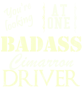 https://s3.us-west-1.wasabisys.com/ecart-content/cargeektees.com/overlays/527/412/5274129.png img