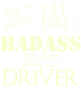 https://s3.us-west-1.wasabisys.com/ecart-content/cargeektees.com/overlays/527/421/5274213.png img