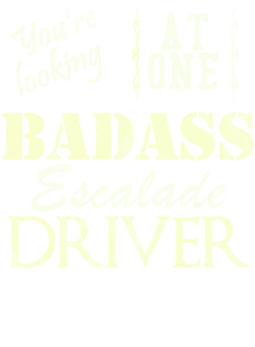https://s3.us-west-1.wasabisys.com/ecart-content/cargeektees.com/overlays/527/428/5274281.png img
