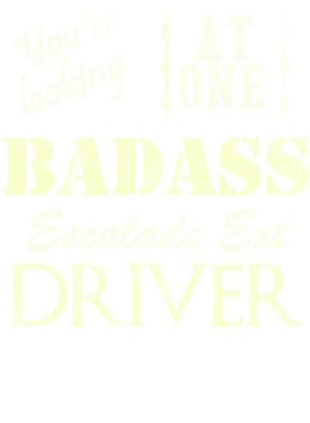 https://s3.us-west-1.wasabisys.com/ecart-content/cargeektees.com/overlays/527/429/5274299.png img
