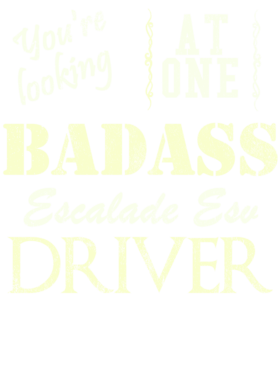 https://s3.us-west-1.wasabisys.com/ecart-content/cargeektees.com/overlays/527/431/5274316.png img