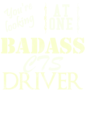 https://s3.us-west-1.wasabisys.com/ecart-content/cargeektees.com/overlays/527/437/5274377.png img