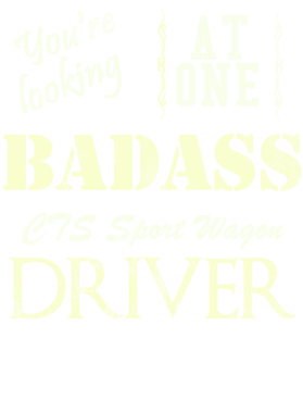 https://s3.us-west-1.wasabisys.com/ecart-content/cargeektees.com/overlays/527/441/5274411.png img