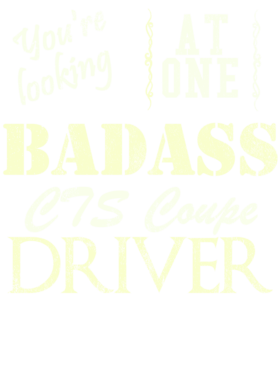 https://s3.us-west-1.wasabisys.com/ecart-content/cargeektees.com/overlays/527/442/5274426.png img