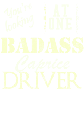 https://s3.us-west-1.wasabisys.com/ecart-content/cargeektees.com/overlays/527/449/5274494.png img