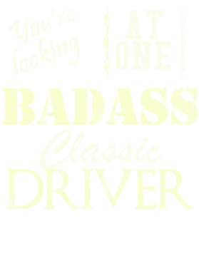 https://s3.us-west-1.wasabisys.com/ecart-content/cargeektees.com/overlays/527/456/5274565.png img