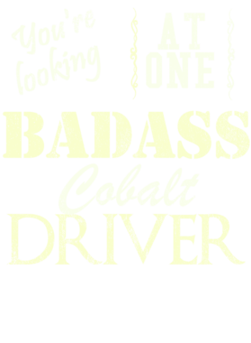https://s3.us-west-1.wasabisys.com/ecart-content/cargeektees.com/overlays/527/458/5274583.png img