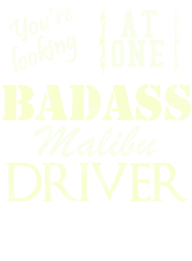 https://s3.us-west-1.wasabisys.com/ecart-content/cargeektees.com/overlays/527/476/5274760.png img