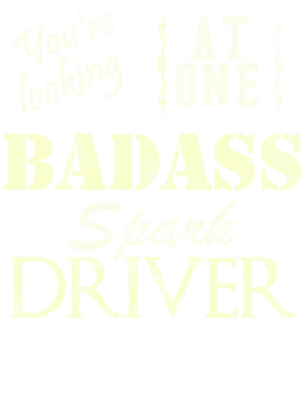 https://s3.us-west-1.wasabisys.com/ecart-content/cargeektees.com/overlays/527/501/5275016.png img