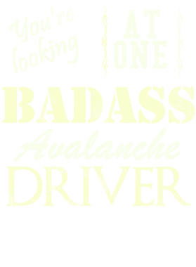 https://s3.us-west-1.wasabisys.com/ecart-content/cargeektees.com/overlays/527/557/5275574.png img