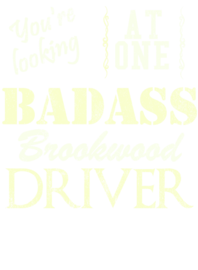 https://s3.us-west-1.wasabisys.com/ecart-content/cargeektees.com/overlays/527/573/5275734.png img