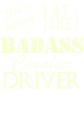 https://s3.us-west-1.wasabisys.com/ecart-content/cargeektees.com/overlays/527/585/5275854.png img