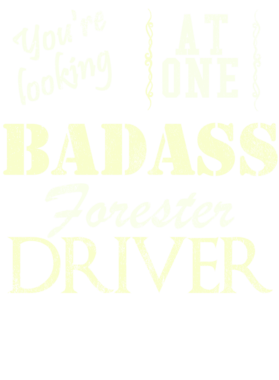 https://s3.us-west-1.wasabisys.com/ecart-content/cargeektees.com/overlays/527/641/5276413.png img