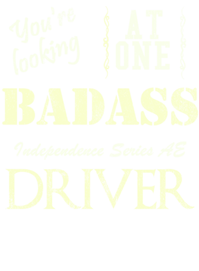 https://s3.us-west-1.wasabisys.com/ecart-content/cargeektees.com/overlays/527/652/5276524.png img