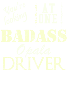 https://s3.us-west-1.wasabisys.com/ecart-content/cargeektees.com/overlays/527/699/5276992.png img