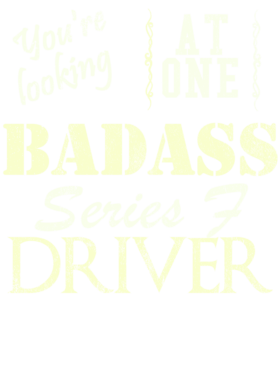 https://s3.us-west-1.wasabisys.com/ecart-content/cargeektees.com/overlays/527/717/5277178.png img