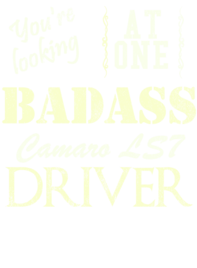 https://s3.us-west-1.wasabisys.com/ecart-content/cargeektees.com/overlays/527/803/5278030.png img