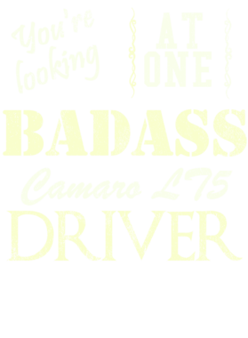 https://s3.us-west-1.wasabisys.com/ecart-content/cargeektees.com/overlays/527/804/5278044.png img