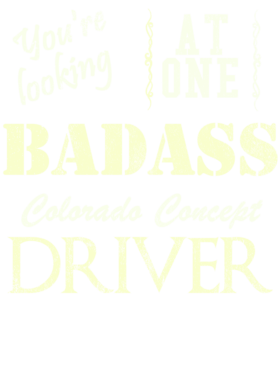 https://s3.us-west-1.wasabisys.com/ecart-content/cargeektees.com/overlays/527/816/5278162.png img