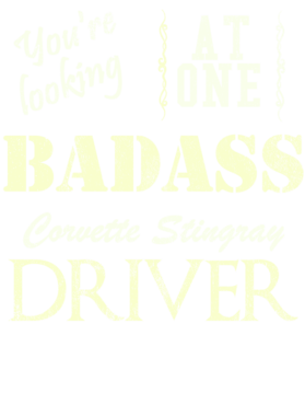 https://s3.us-west-1.wasabisys.com/ecart-content/cargeektees.com/overlays/527/834/5278342.png img
