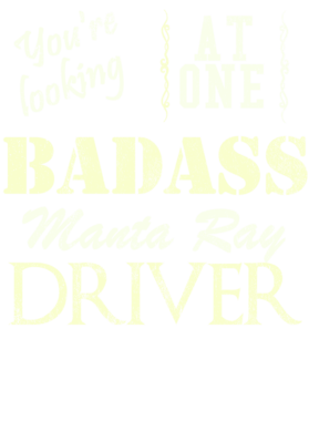 https://s3.us-west-1.wasabisys.com/ecart-content/cargeektees.com/overlays/527/863/5278636.png img