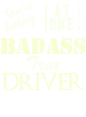 https://s3.us-west-1.wasabisys.com/ecart-content/cargeektees.com/overlays/527/898/5278988.png img