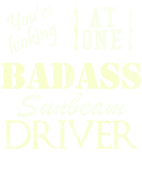 https://s3.us-west-1.wasabisys.com/ecart-content/cargeektees.com/overlays/527/970/5279704.png img