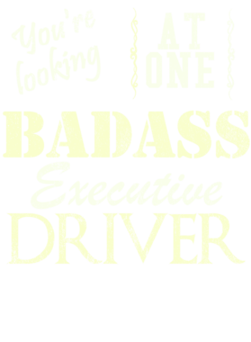 https://s3.us-west-1.wasabisys.com/ecart-content/cargeektees.com/overlays/527/973/5279732.png img