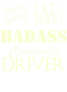 https://s3.us-west-1.wasabisys.com/ecart-content/cargeektees.com/overlays/527/987/5279874.png img