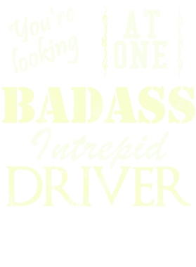 https://s3.us-west-1.wasabisys.com/ecart-content/cargeektees.com/overlays/527/989/5279890.png img