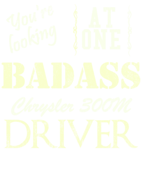 https://s3.us-west-1.wasabisys.com/ecart-content/cargeektees.com/overlays/527/999/5279998.png img