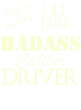 https://s3.us-west-1.wasabisys.com/ecart-content/cargeektees.com/overlays/528/057/5280578.png img