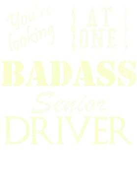 https://s3.us-west-1.wasabisys.com/ecart-content/cargeektees.com/overlays/528/066/5280669.png img