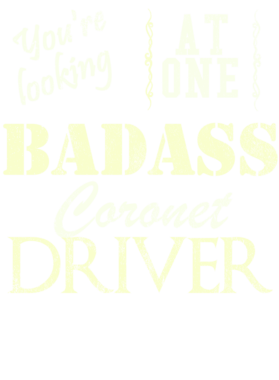 https://s3.us-west-1.wasabisys.com/ecart-content/cargeektees.com/overlays/528/079/5280792.png img