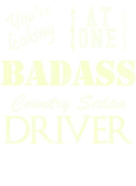 https://s3.us-west-1.wasabisys.com/ecart-content/cargeektees.com/overlays/528/116/5281160.png img