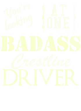 https://s3.us-west-1.wasabisys.com/ecart-content/cargeektees.com/overlays/528/119/5281196.png img