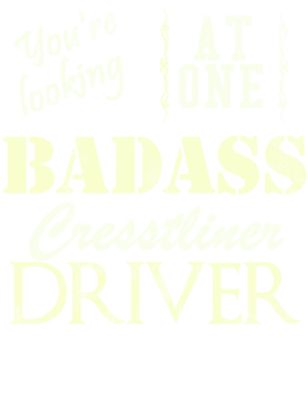 https://s3.us-west-1.wasabisys.com/ecart-content/cargeektees.com/overlays/528/121/5281214.png img