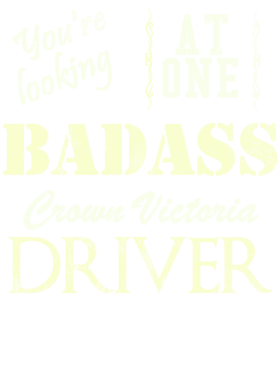 https://s3.us-west-1.wasabisys.com/ecart-content/cargeektees.com/overlays/528/122/5281229.png img