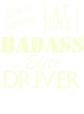 https://s3.us-west-1.wasabisys.com/ecart-content/cargeektees.com/overlays/528/167/5281671.png img