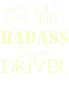 https://s3.us-west-1.wasabisys.com/ecart-content/cargeektees.com/overlays/528/168/5281686.png img