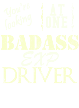 https://s3.us-west-1.wasabisys.com/ecart-content/cargeektees.com/overlays/528/172/5281720.png img