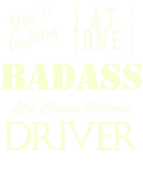 https://s3.us-west-1.wasabisys.com/ecart-content/cargeektees.com/overlays/528/202/5282024.png img