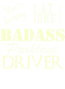 https://s3.us-west-1.wasabisys.com/ecart-content/cargeektees.com/overlays/528/253/5282536.png img