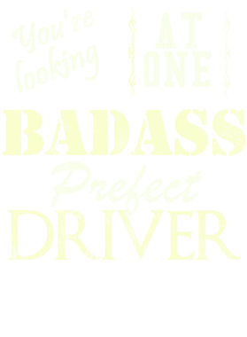 https://s3.us-west-1.wasabisys.com/ecart-content/cargeektees.com/overlays/528/256/5282569.png img