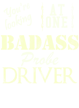 https://s3.us-west-1.wasabisys.com/ecart-content/cargeektees.com/overlays/528/258/5282589.png img